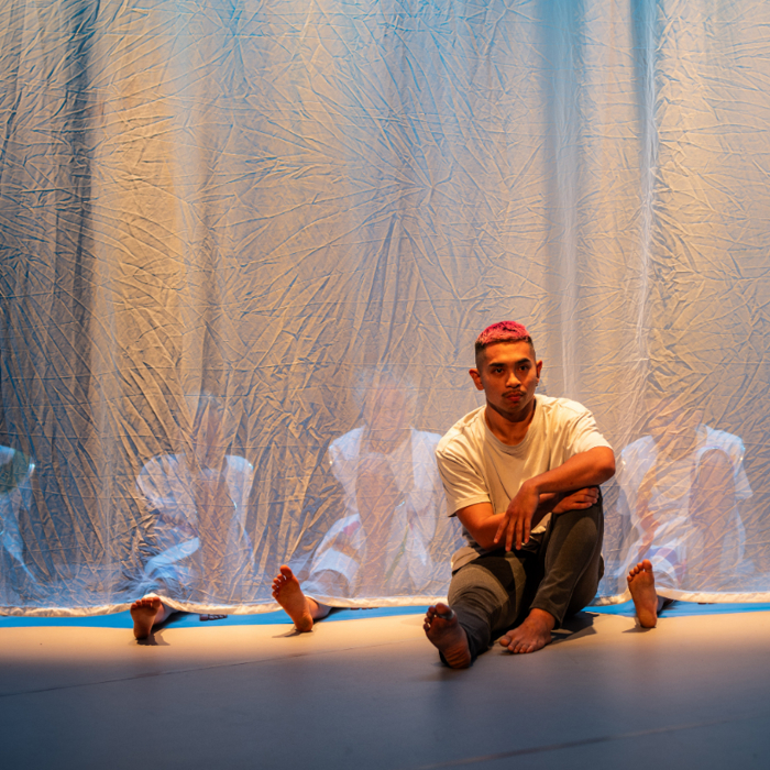 maas theater en dans